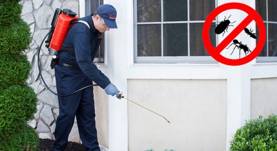 Aydıntepe Kemirgen İlaçlama böcek ilaçlama ve haşere kontrolü — ilaclama-tr.com